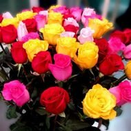 Букет из 25 разноцветных роз с крупным бутоном Букет из 25 разноцветных роз с крупным бутоном