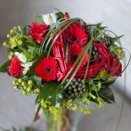 Яркое признание Яркое признание